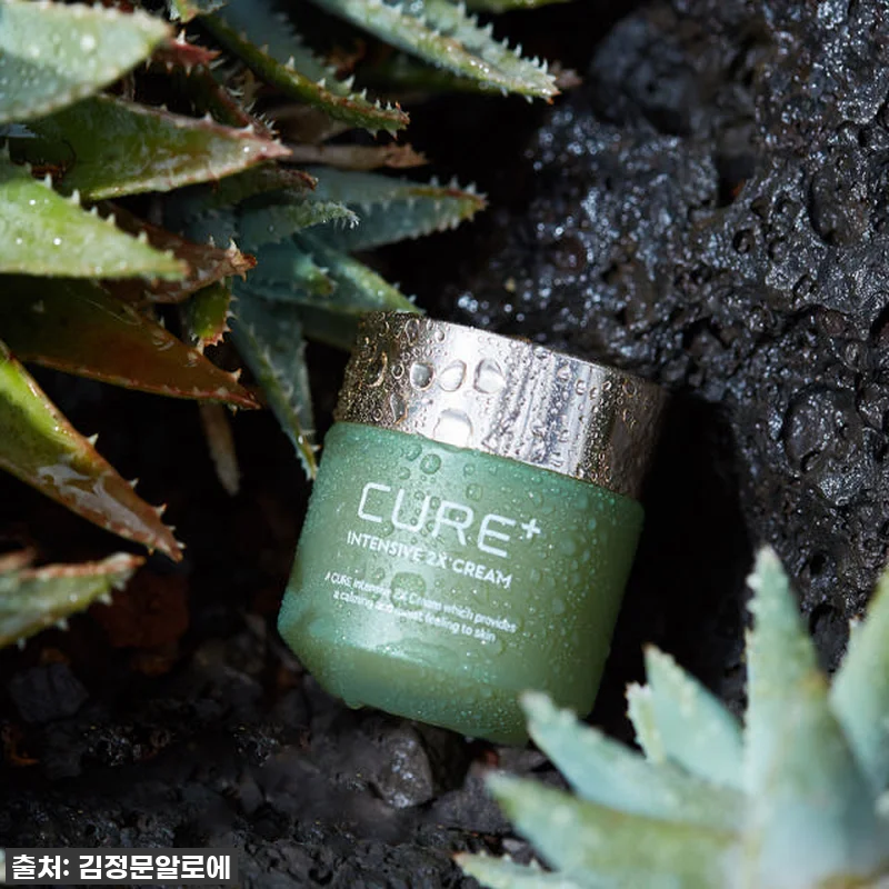 이슈템 79% 폭풍 할인! 김정문알로에 큐어 인텐시브 2X 크림, 안 써보면 후회할 인생템! 8 이슈템 79% 폭풍 할인! 김정문알로 관련 이미지 1