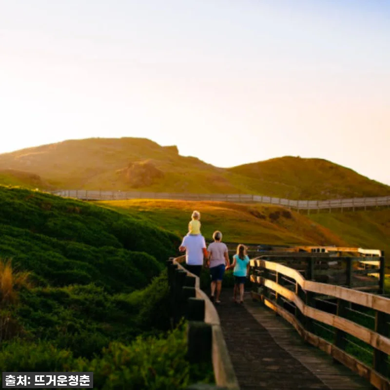 멜버른 여행, 이건 꼭 해야 해! 프렌치 아일랜드 4WD & 펭귄 퍼레이드 투어 찐후기! 7 멜버른 여행, 이건 꼭 해야 해! 프 관련 이미지 1