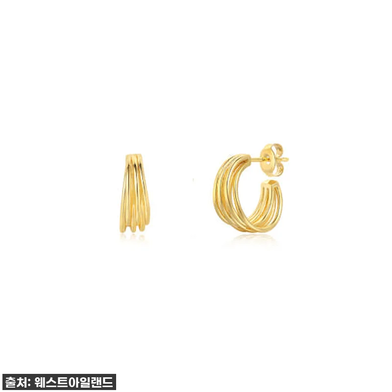 이슈템 떴다! 웨스트아일랜드 실버 귀 관련 이미지 1