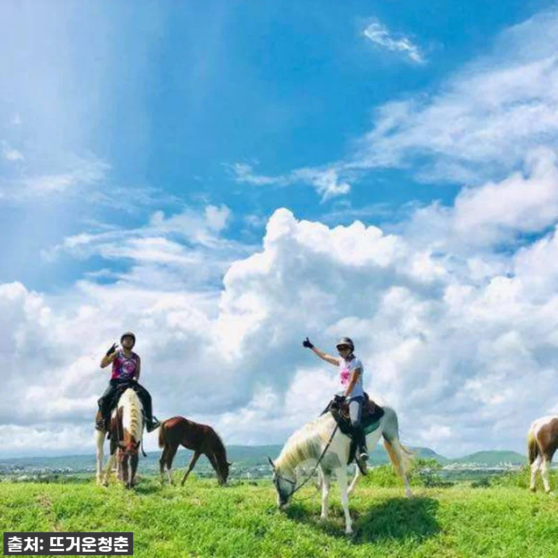 이건 진짜 찐후기! 대만 컨딩 야외 관련 이미지 2