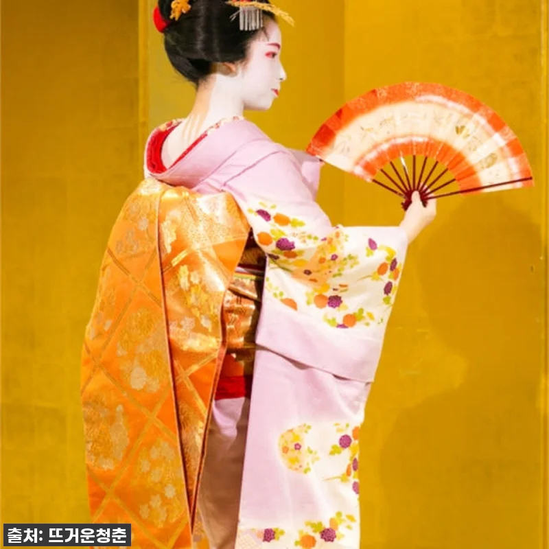 찐후기! 교토 단풍 야경 & 마이코 공연? 인생 투어 이건 꼭 가야 해! 9 찐후기! 교토 단풍 야경 & 마이코 관련 이미지 2