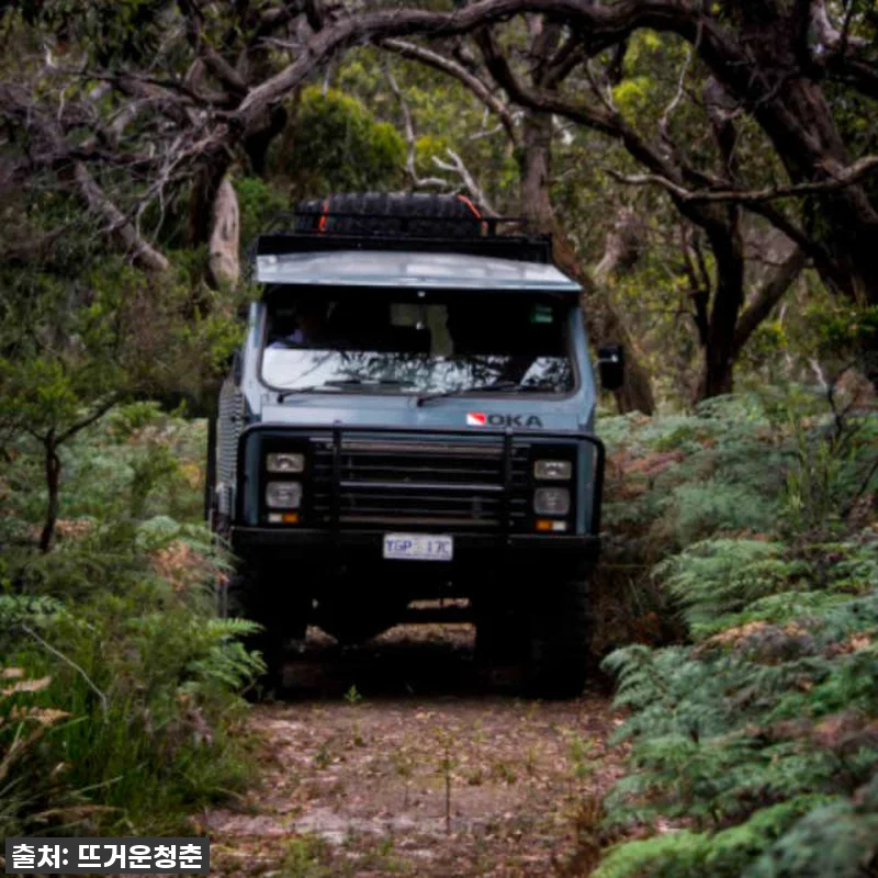 멜버른 여행, 이건 꼭 해야 해! 프렌치 아일랜드 4WD & 펭귄 퍼레이드 투어 찐후기! 8 멜버른 여행, 이건 꼭 해야 해! 프 관련 이미지 2