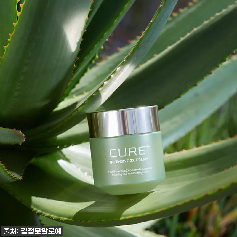 이슈템 79% 폭풍 할인! 김정문알로에 큐어 인텐시브 2X 크림, 안 써보면 후회할 인생템! 10 이슈템 79% 폭풍 할인! 김정문알로 관련 이미지 3