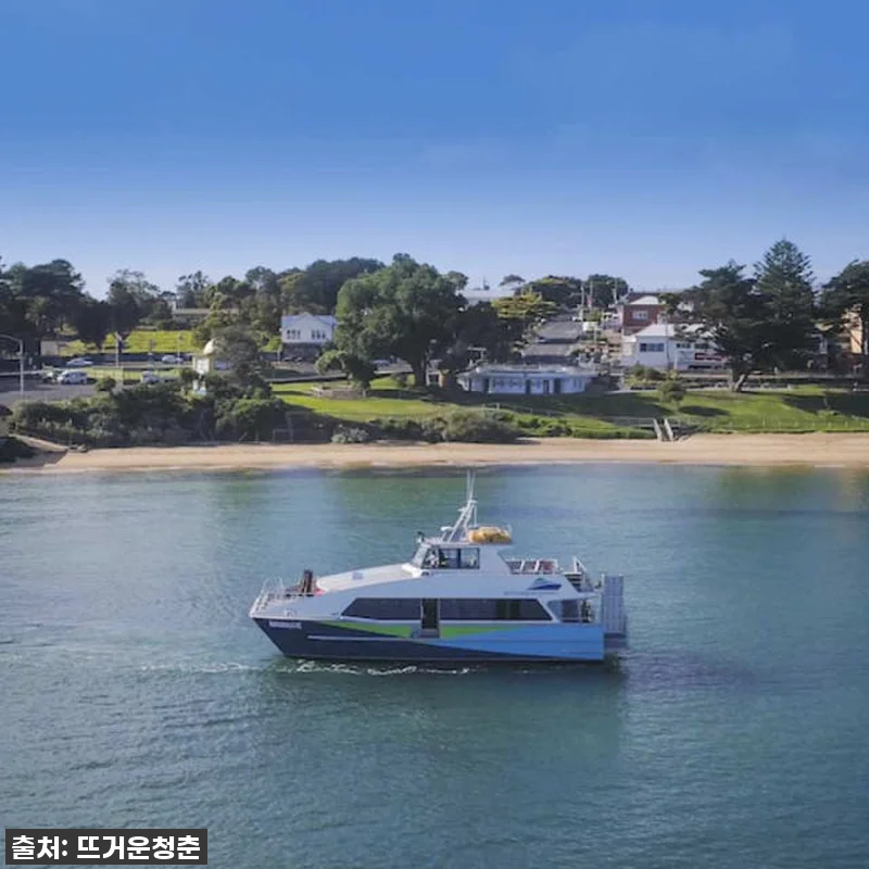 멜버른 여행, 이건 꼭 해야 해! 프렌치 아일랜드 4WD & 펭귄 퍼레이드 투어 찐후기! 9 멜버른 여행, 이건 꼭 해야 해! 프 관련 이미지 3