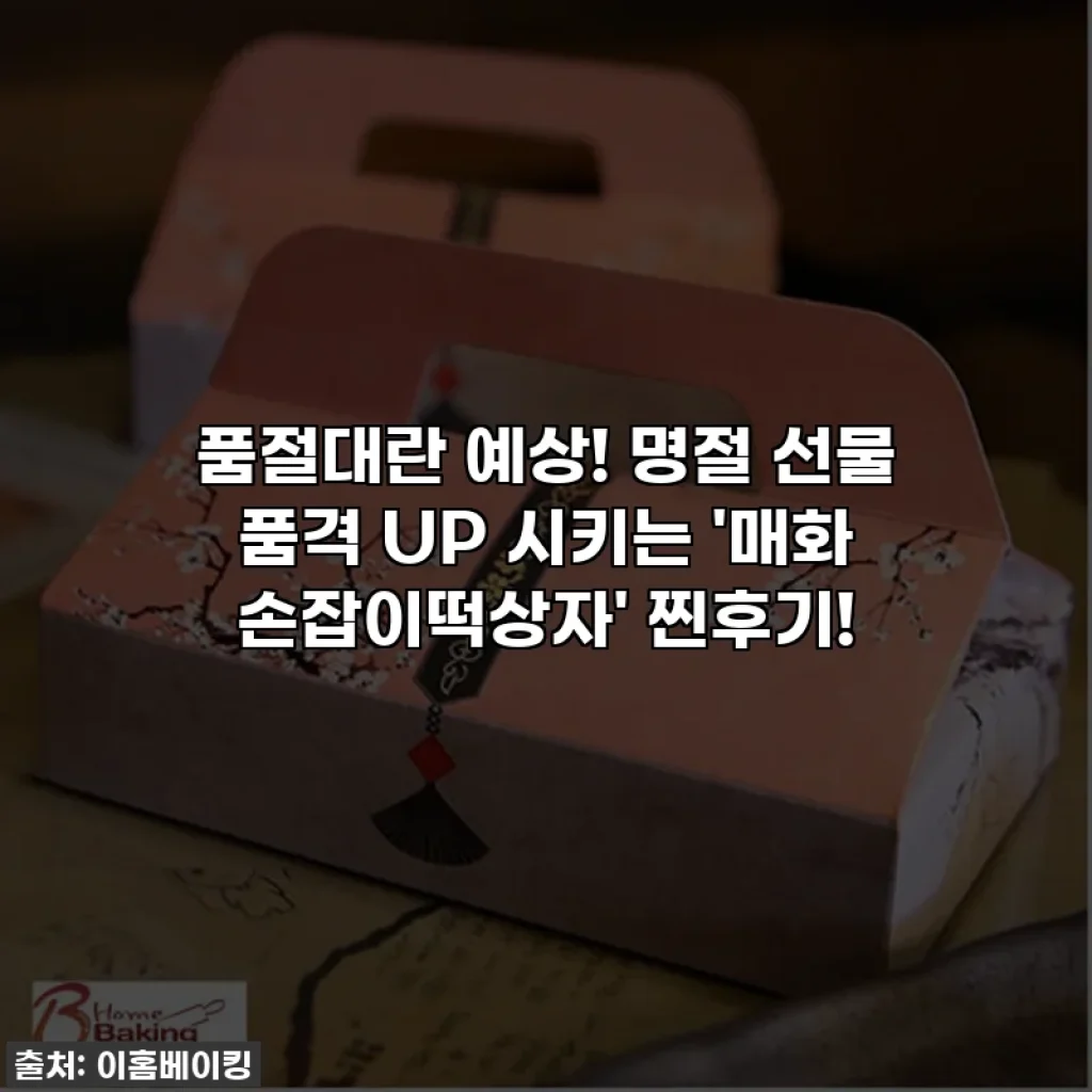품절대란 예상! 명절 선물 품격 UP 시키는 '매화 손잡이떡상자' 찐후기!