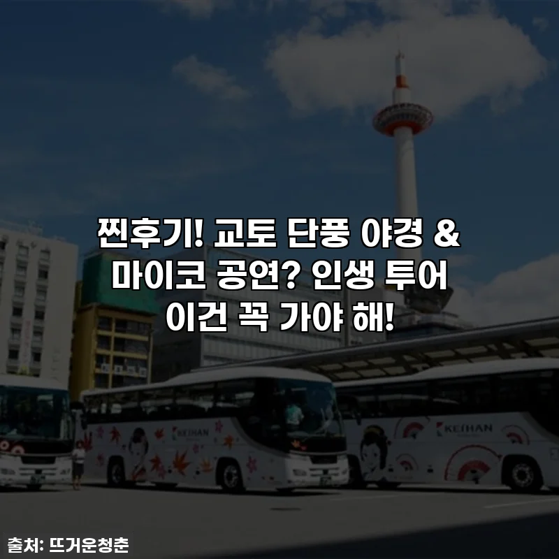 찐후기! 교토 단풍 야경 & 마이코 공연? 인생 투어 이건 꼭 가야 해!