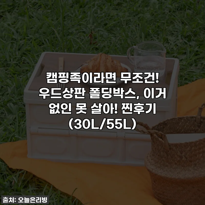 캠핑족이라면 무조건! 우드상판 폴딩박스, 이거 없인 못 살아! 찐후기 (30L/55L)