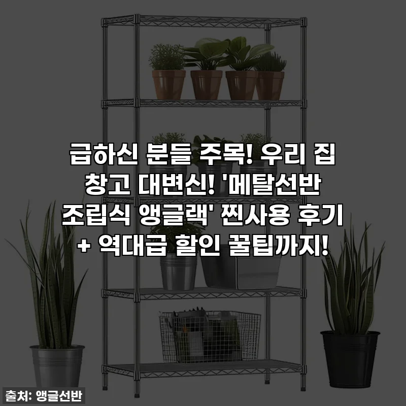 급하신 분들 주목! 우리 집 창고 대변신! '메탈선반 조립식 앵글랙' 찐사용 후기 + 역대급 할인 꿀팁까지!