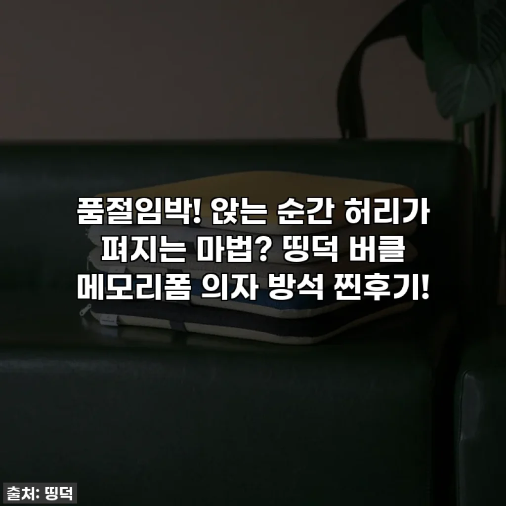 품절임박! 앉는 순간 허리가 펴지는 마법? 띵덕 버클 메모리폼 의자 방석 찐후기!