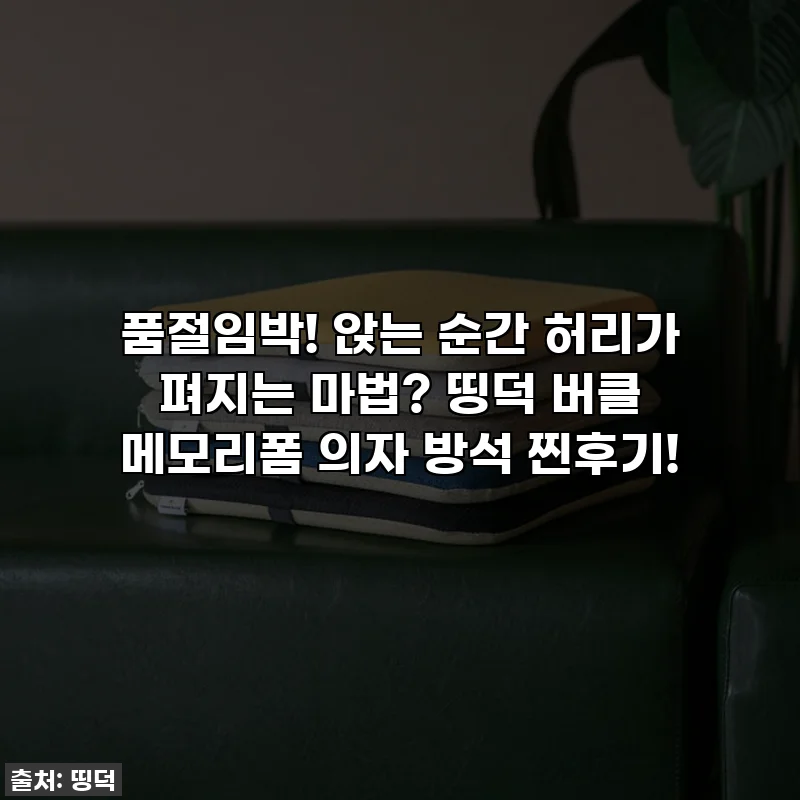 품절임박! 앉는 순간 허리가 펴지는 마법? 띵덕 버클 메모리폼 의자 방석 찐후기!