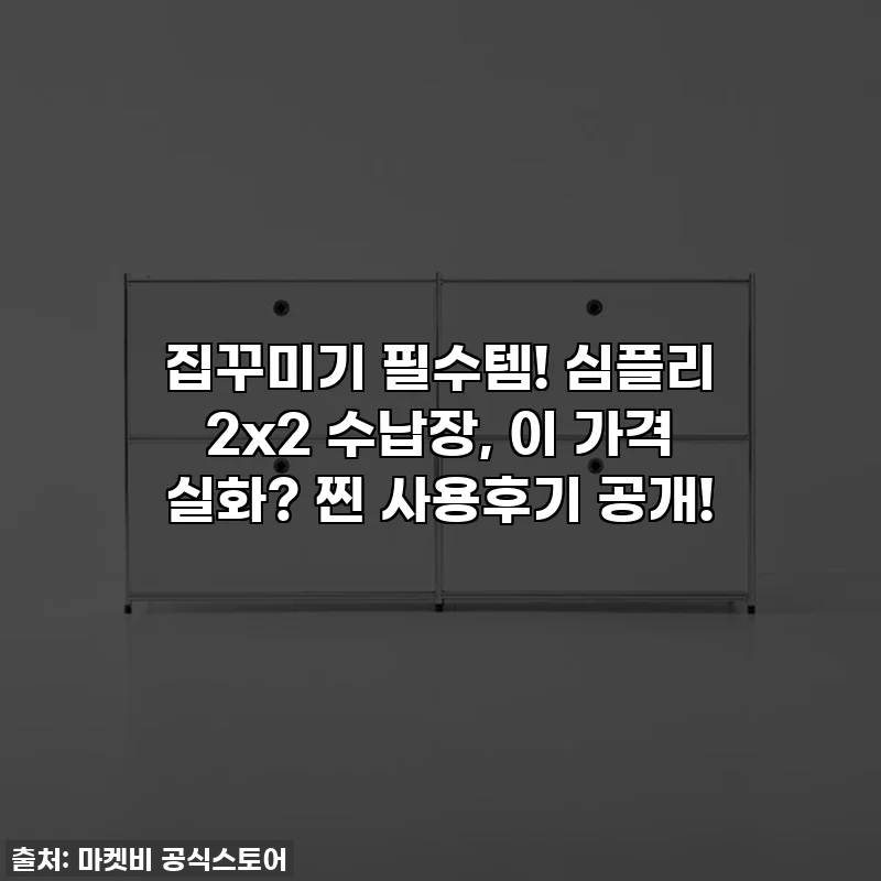 집꾸미기 필수템! 심플리 2x2 수납장, 이 가격 실화? 찐 사용후기 공개!