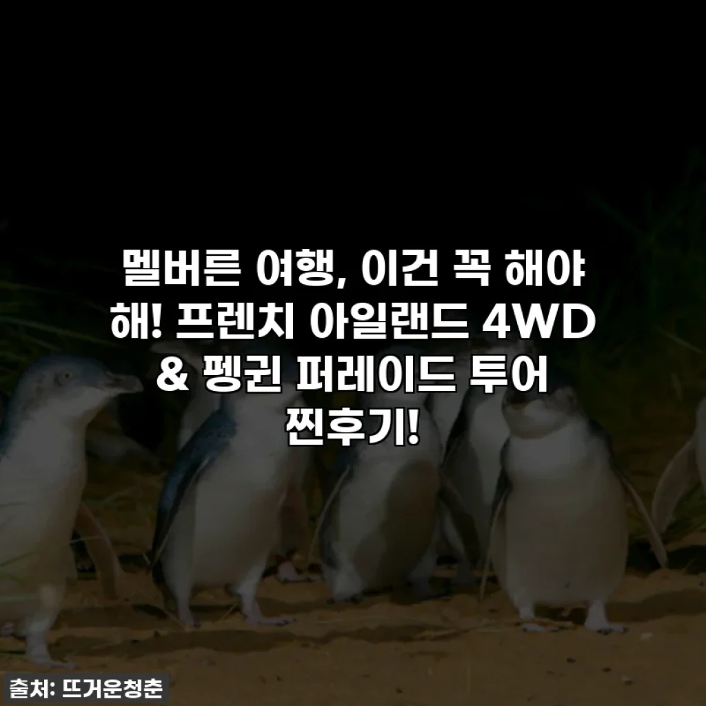 멜버른 여행, 이건 꼭 해야 해! 프렌치 아일랜드 4WD & 펭귄 퍼레이드 투어 찐후기!