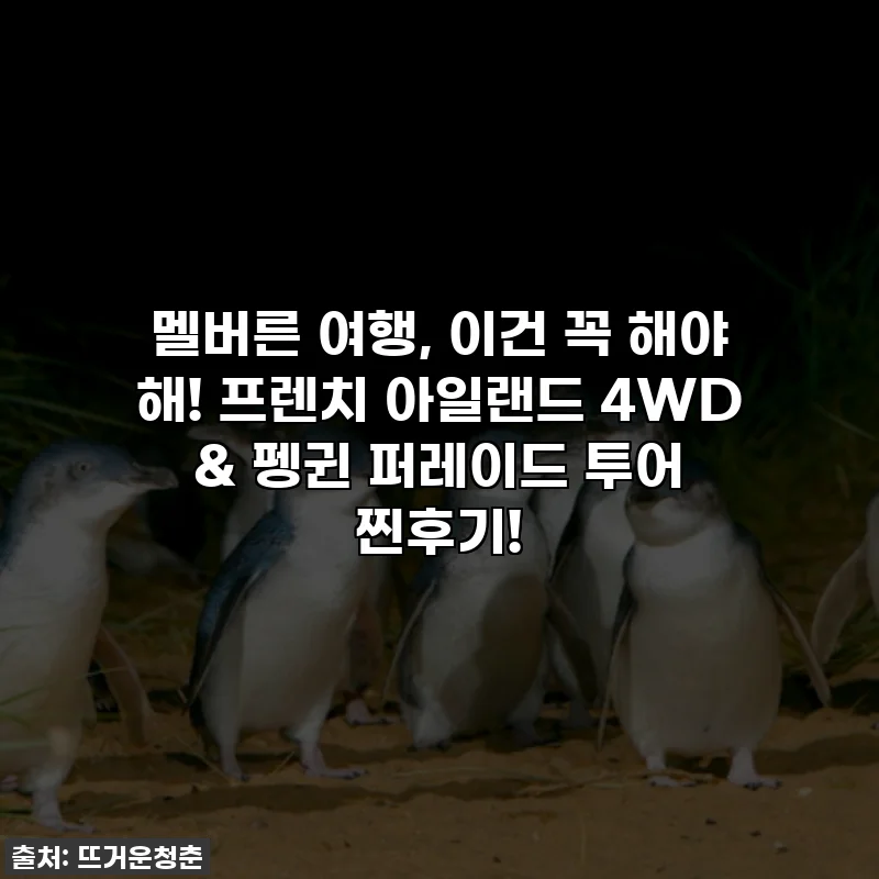 멜버른 여행, 이건 꼭 해야 해! 프렌치 아일랜드 4WD & 펭귄 퍼레이드 투어 찐후기!