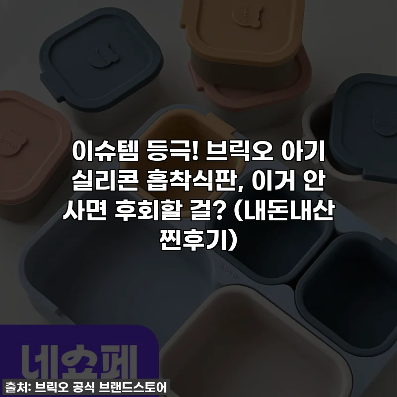 이슈템 등극! 브릭오 아기 실리콘 흡착식판, 이거 안 사면 후회할 걸? (내돈내산 찐후기)