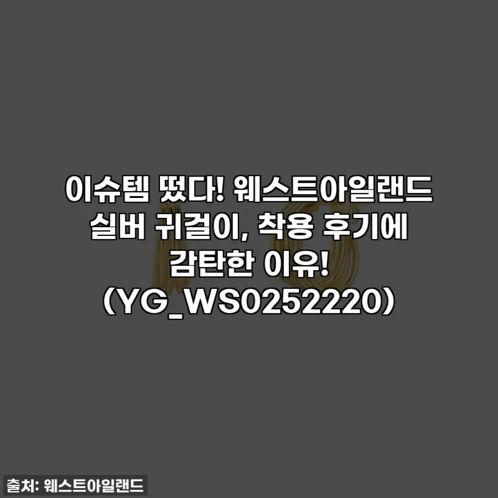 이슈템 떴다! 웨스트아일랜드 실버 귀걸이, 착용 후기에 감탄한 이유! (YG_WS0252220)