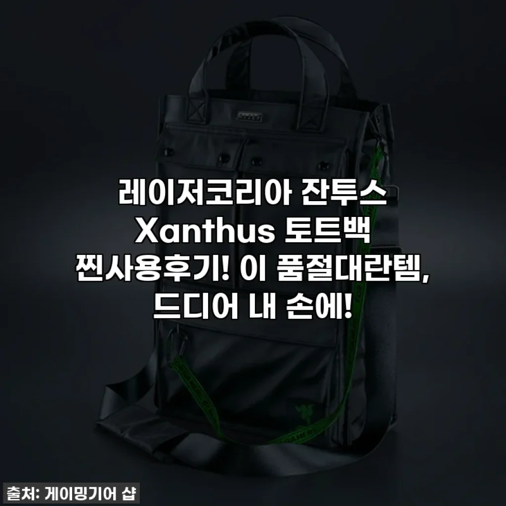 레이저코리아 잔투스 Xanthus 토트백 찐사용후기! 이 품절대란템, 드디어 내 손에!