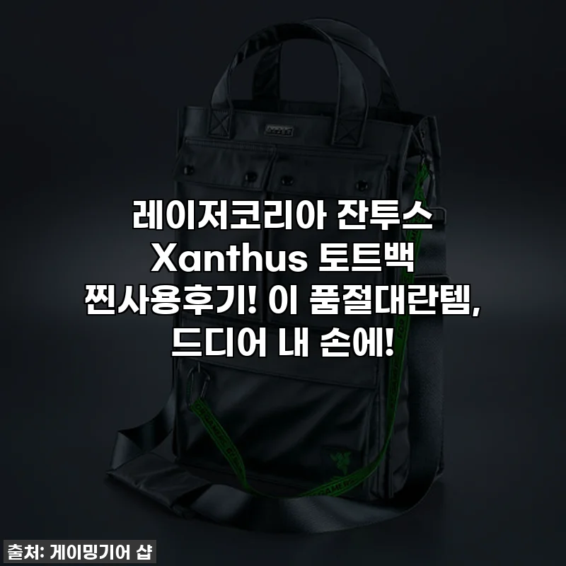 레이저코리아 잔투스 Xanthus 토트백 찐사용후기! 이 품절대란템, 드디어 내 손에!