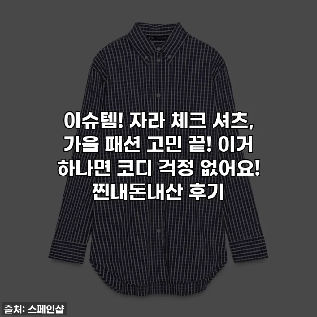 이슈템! 자라 체크 셔츠, 가을 패션 고민 끝! 이거 하나면 코디 걱정 없어요! 찐내돈내산 후기