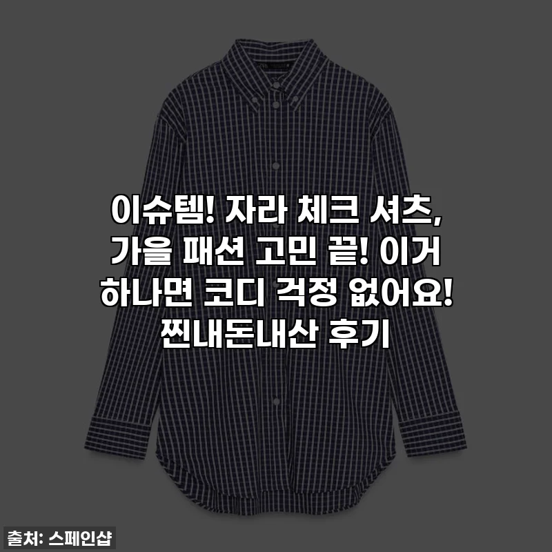 이슈템! 자라 체크 셔츠, 가을 패션 고민 끝! 이거 하나면 코디 걱정 없어요! 찐내돈내산 후기