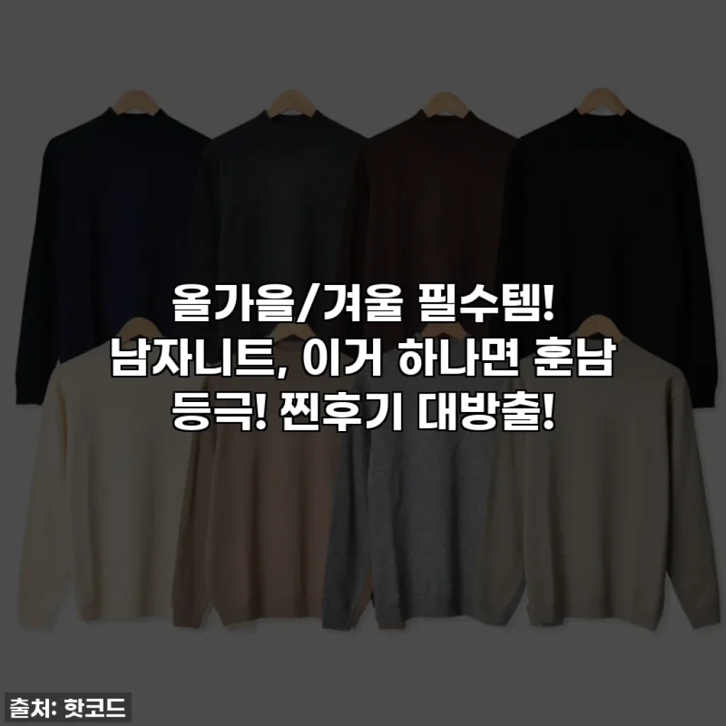 올가을/겨울 필수템! 남자니트, 이거 하나면 훈남 등극! 찐후기 대방출!