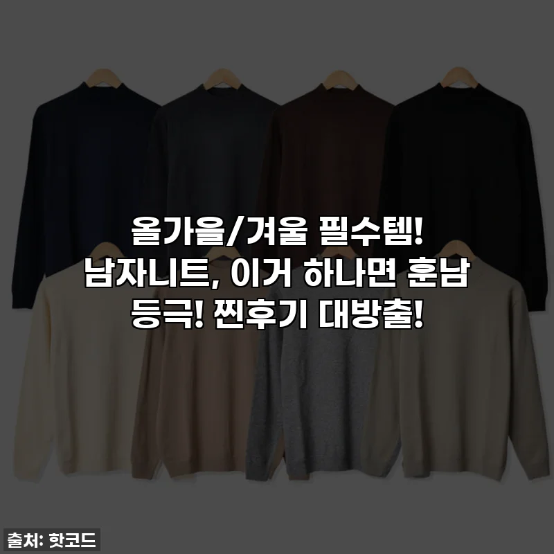 올가을/겨울 필수템! 남자니트, 이거 하나면 훈남 등극! 찐후기 대방출!