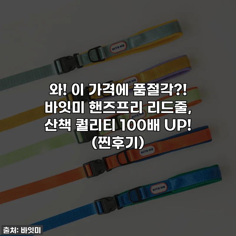 와! 이 가격에 품절각?! 바잇미 핸즈프리 리드줄, 산책 퀄리티 100배 UP! (찐후기)