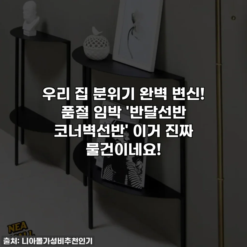 우리 집 분위기 완벽 변신! 품절 임박 '반달선반 코너벽선반' 이거 진짜 물건이네요!
