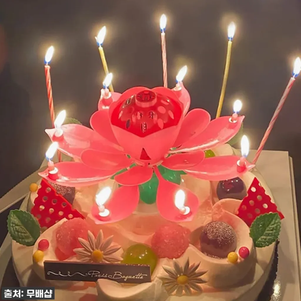 이슈템 떴다! 생일 분위기 1000% 올리는 '회전 멜로디 연꽃초' 찐 사용 후기 (feat. 부모님부터 친구까지 대만족)