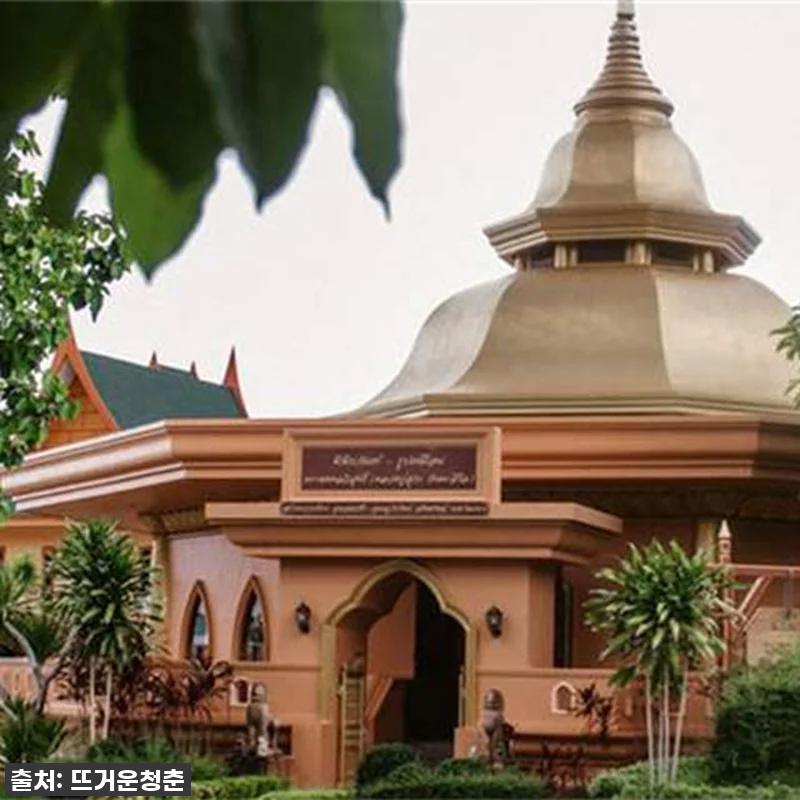 푸켓 짚라인 어드벤처 투어, 직접 타보니 이게 찐! 품절 임박! 서두르세요! 7 푸켓 짚라인 어드벤처 투어, 직접 타 관련 이미지 2