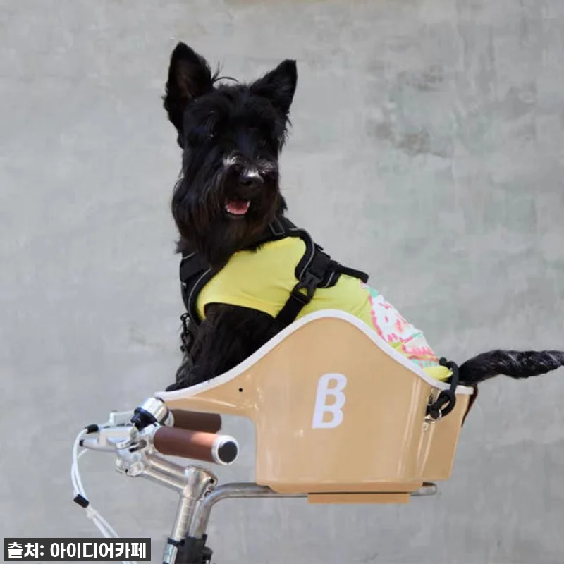 이슈템 찐후기! 브룩앤브리즈 댕댕라이더 강아지 자전거 시트, 우리 댕댕이랑 라이딩 데이트 가능?! 14 이슈템 찐후기! 브룩앤브리즈 댕댕라이 관련 이미지 2