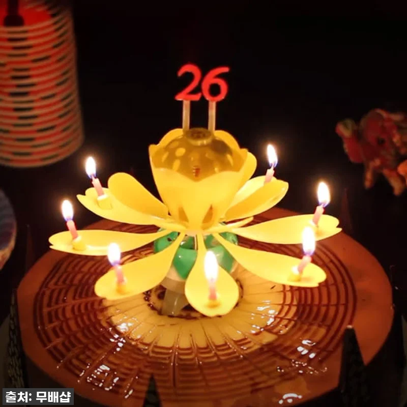 이슈템 떴다! 생일 분위기 1000% 올리는 '회전 멜로디 연꽃초' 찐 사용 후기 (feat. 부모님부터 친구까지 대만족) 10 이슈템 떴다! 생일 분위기 1000% 관련 이미지 1