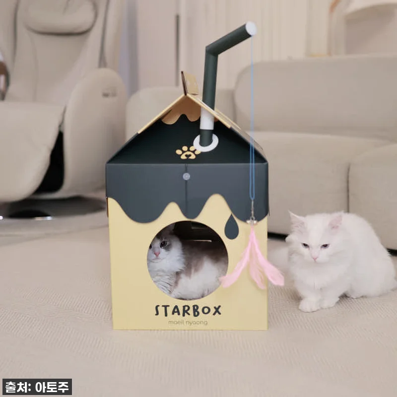 ✨품절대란템 드디어 내 손에! 매일야 관련 이미지 2