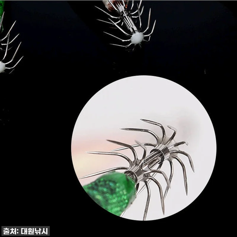 키우라 네로 갑오징어 쭈꾸미 에기, 이거 없으면 조과 망해요! 🎣 (내돈내산 찐후기) 13 키우라 네로 갑오징어 쭈꾸미 에기, 관련 이미지 2