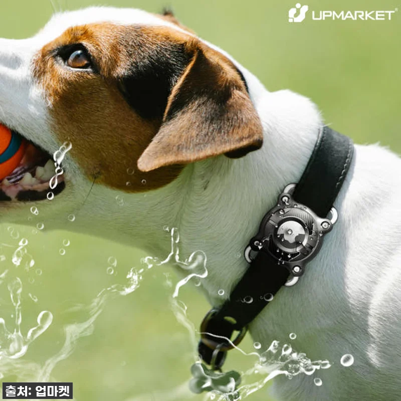 이거 없으면 강아지 안 키운다! 에어 관련 이미지 2