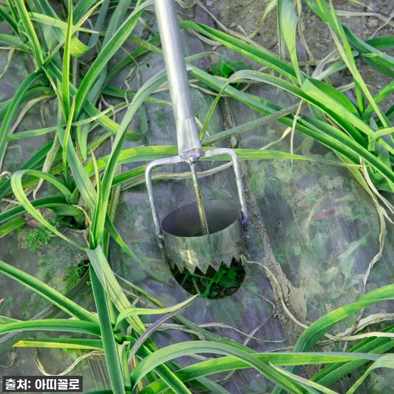 [품절임박] 텃밭 농사 찐고수템! 비 관련 이미지 2