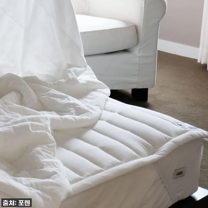 찐후기: 올겨울 꿀잠 보장! 포렌 더 관련 이미지 3