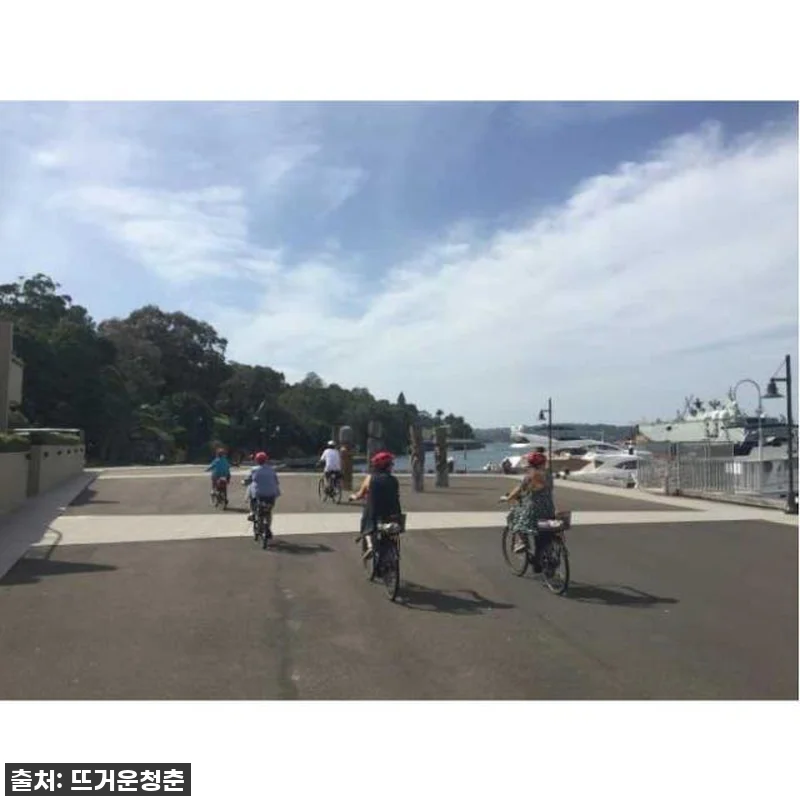 시드니 하버 전자 자전거 가이드 투어 찐후기: 인생샷은 물론 감동까지, 이건 무조건이야! 9 시드니 하버 전자 자전거 가이드 투어 관련 이미지 3
