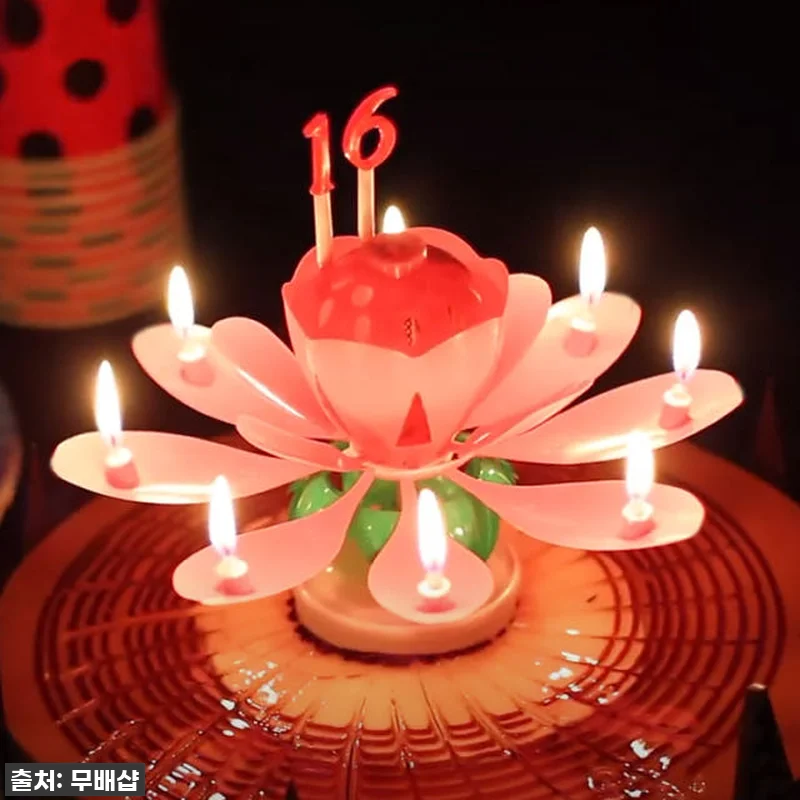 이슈템 떴다! 생일 분위기 1000% 올리는 '회전 멜로디 연꽃초' 찐 사용 후기 (feat. 부모님부터 친구까지 대만족) 11 이슈템 떴다! 생일 분위기 1000% 관련 이미지 2