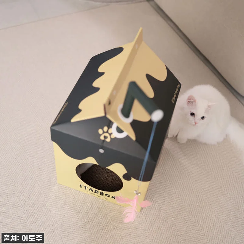 ✨품절대란템 드디어 내 손에! 매일야 관련 이미지 3