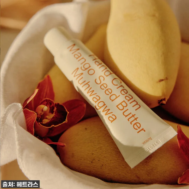 이건 무조건 사야 해! 💖 헤트라스 관련 이미지 4