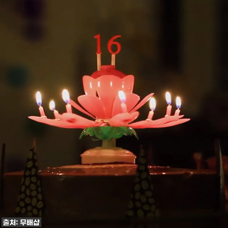 이슈템 떴다! 생일 분위기 1000% 올리는 '회전 멜로디 연꽃초' 찐 사용 후기 (feat. 부모님부터 친구까지 대만족) 12 이슈템 떴다! 생일 분위기 1000% 관련 이미지 3