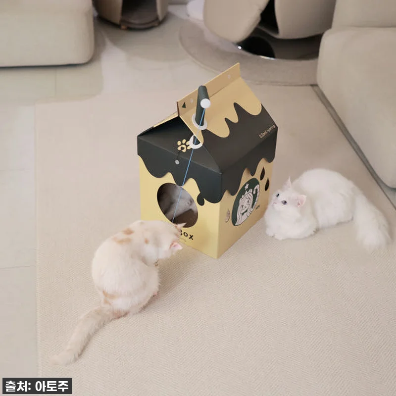 ✨품절대란템 드디어 내 손에! 매일야 관련 이미지 4