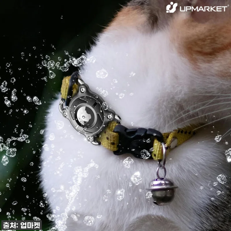 이거 없으면 강아지 안 키운다! 에어 관련 이미지 4