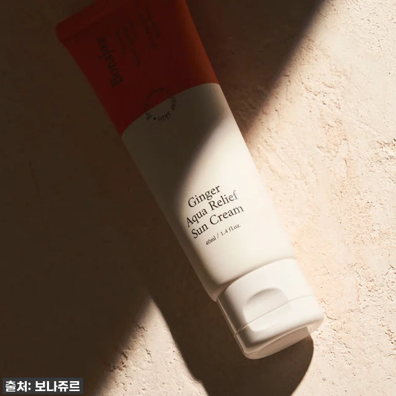 🚨 품절임박! 촉촉함과 순함 다 잡은 #비건진저아쿠아릴리프선크림 찐내돈내산 후기! 11 🚨 품절임박! 촉촉함과 순함 다 잡은 관련 이미지 4