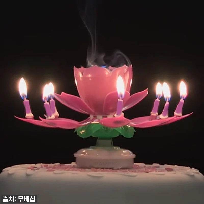 이슈템 떴다! 생일 분위기 1000% 올리는 '회전 멜로디 연꽃초' 찐 사용 후기 (feat. 부모님부터 친구까지 대만족) 13 이슈템 떴다! 생일 분위기 1000% 관련 이미지 4