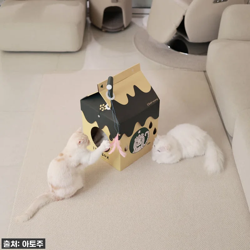 ✨품절대란템 드디어 내 손에! 매일야 관련 이미지 5