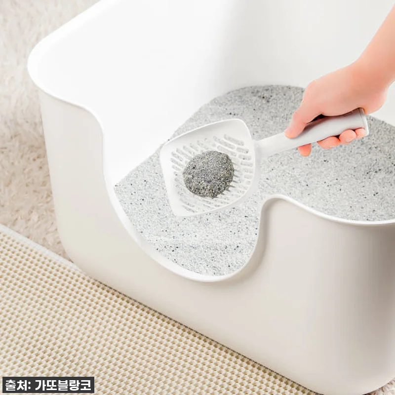 고양이 모래삽 대형 감자스쿱 슬림 찐 관련 이미지 5