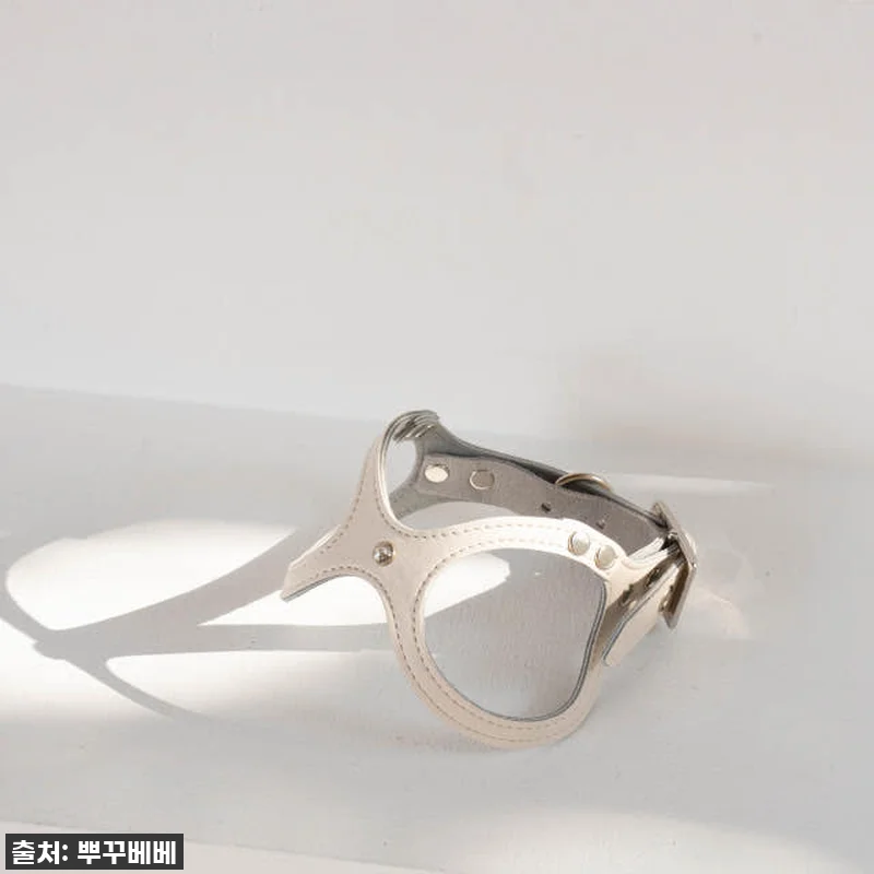 우리 토리 심쿵유발! 42% 할인 '뿌꾸베베 뉴트럴 X형 강아지하네스' 찐후기! 품절되기 전에 쟁여요! 15 우리 토리 심쿵유발! 42% 할인 ' 관련 이미지 4