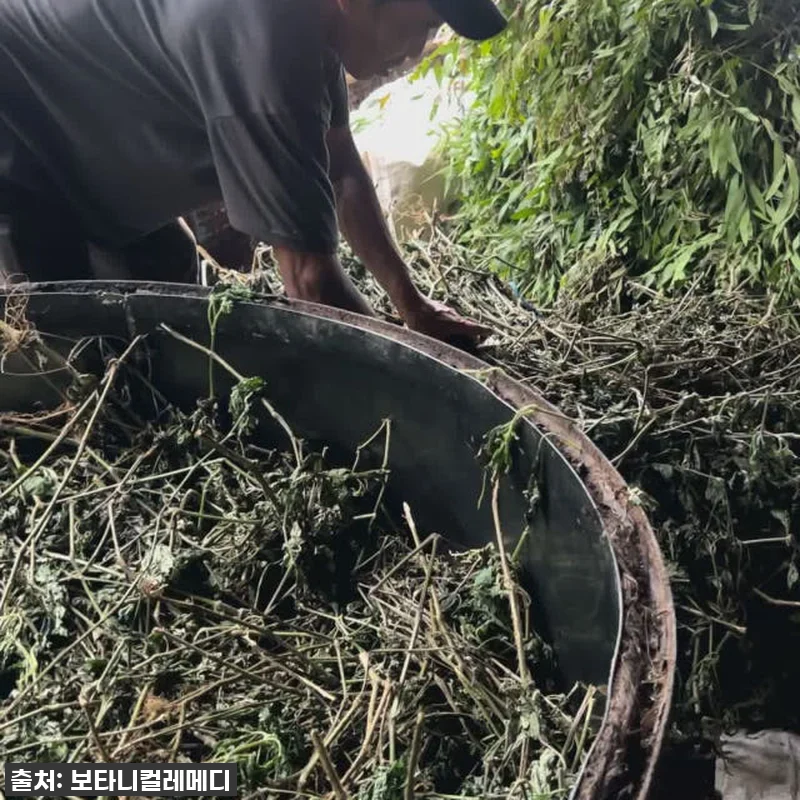 찐후기! 품절대란템 보타니컬레메디 파출리 오일, 힐링이 필요한 당신에게 강력 추천! 12 찐후기! 품절대란템 보타니컬레메디 파 관련 이미지 5