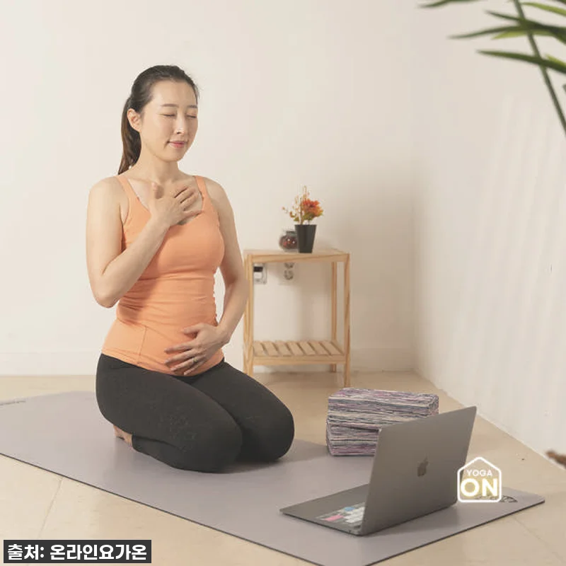 새벽 요가, 이렇게 좋을 줄이야? 🧘 관련 이미지 5